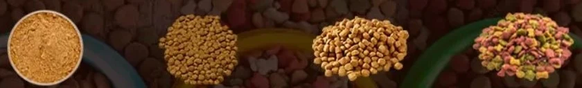 fish feed pellet fish feed pellet